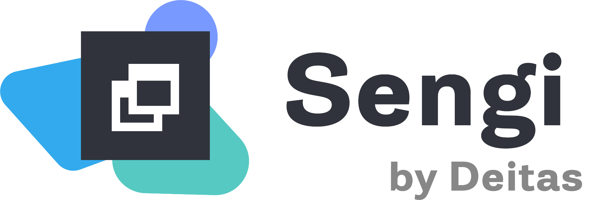 Sengi — firemní informační systém